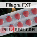 Filagra FXT 18